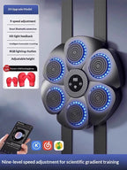 Smart Bluetooth Wireless Boxing Home Exercise Fitness Boxing Equipment